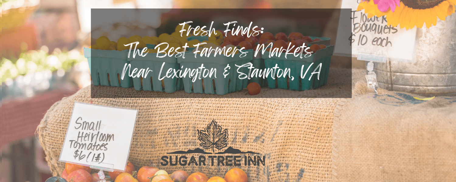 sunflower heirloom tomatoes and burlap sac sunflower heirloom tomatoes and burlap sac