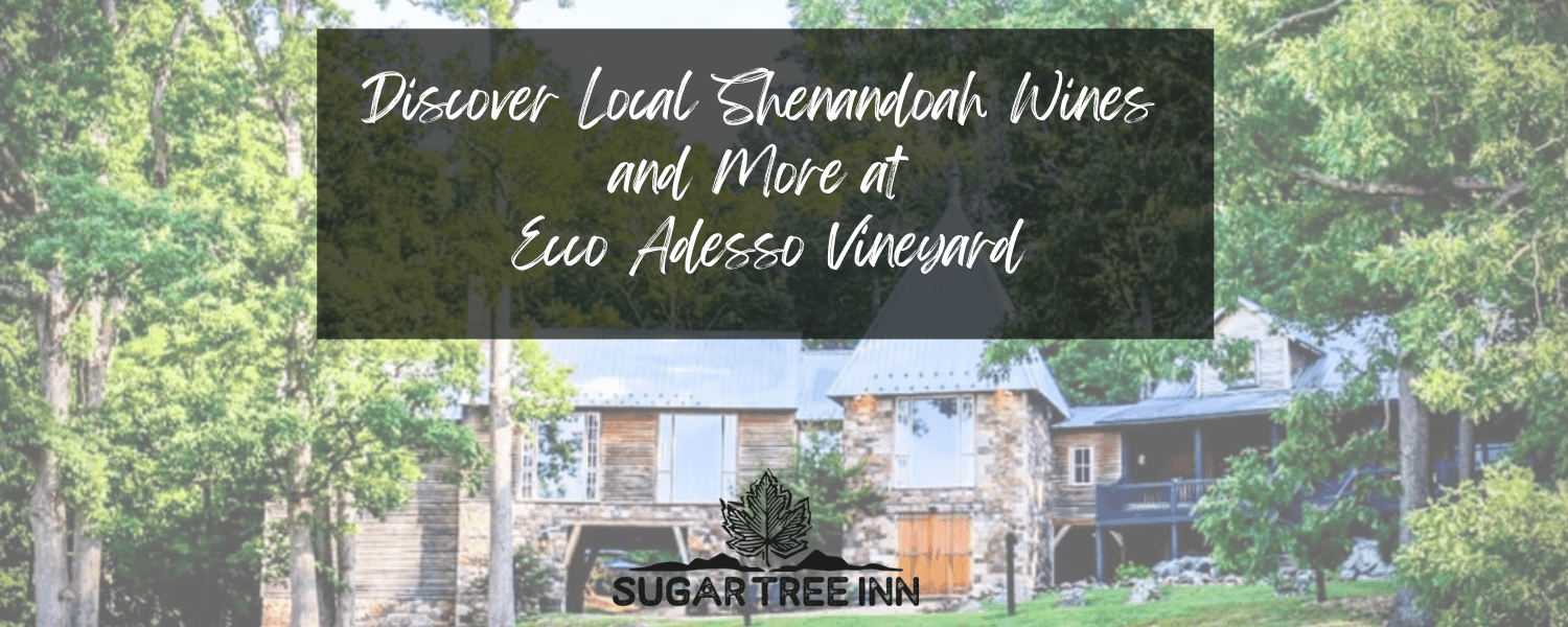 Estate home at Ecco Adesso Vineyard European looking manor house Estate home at Ecco Adesso Vineyard European looking manor house