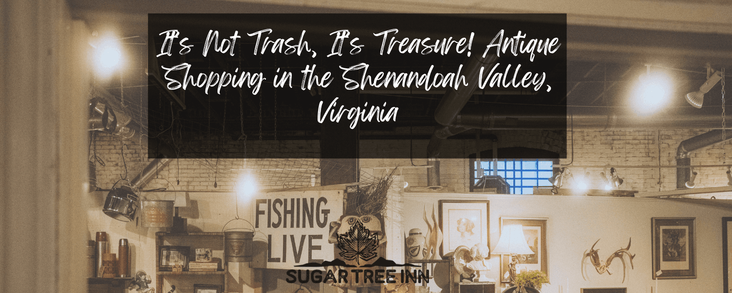 It's Not Trash, It's Treasure Antique Shopping in the Shenandoah Valley Virginia photo with several antiques It's Not Trash, It's Treasure Antique Shopping in the Shenandoah Valley Virginia photo with several antiques