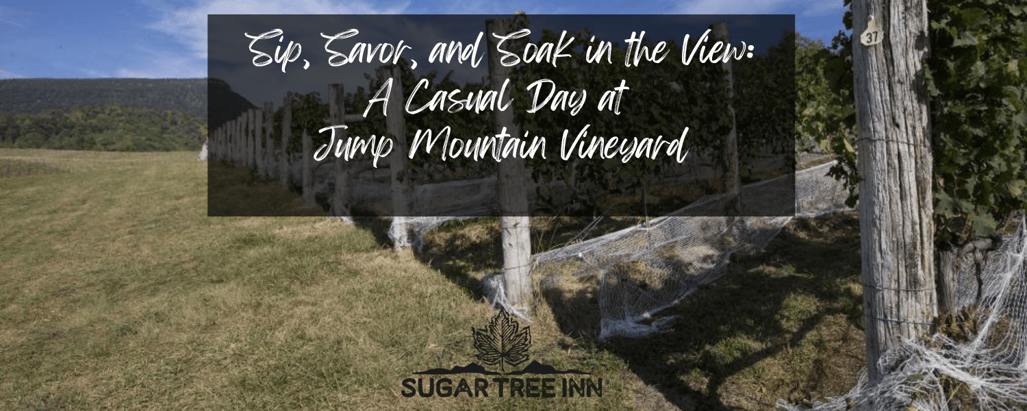 Jump Mountain and rows of grapes Jump Mountain and rows of grapes