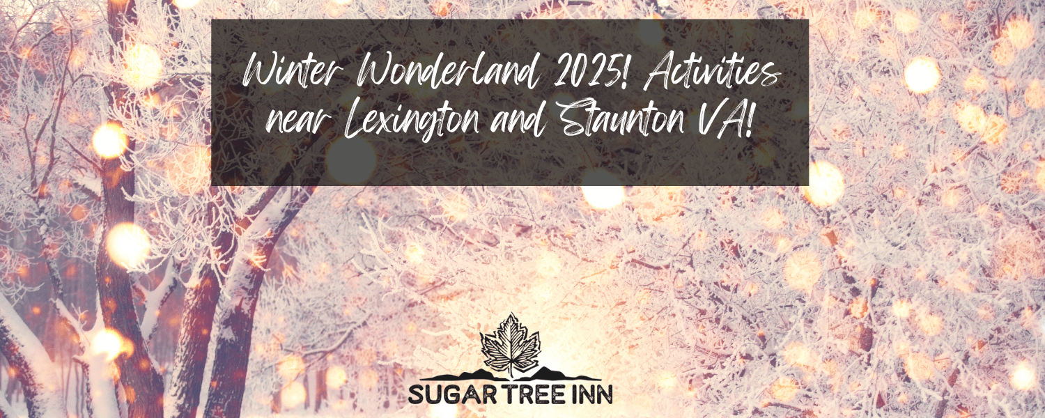 Snowflakes falling over snow-covered trees decorated with white Christmas lights near Lexington and Staunton, Virginia - a serene winter wonderland inviting guests to cozy up at Sugar Tree Inn in the Blue Ridge Mountains. Snowflakes falling over snow-covered trees decorated with white Christmas lights near Lexington and Staunton, Virginia - a serene winter wonderland inviting guests to cozy up at Sugar Tree Inn in the Blue Ridge Mountains.