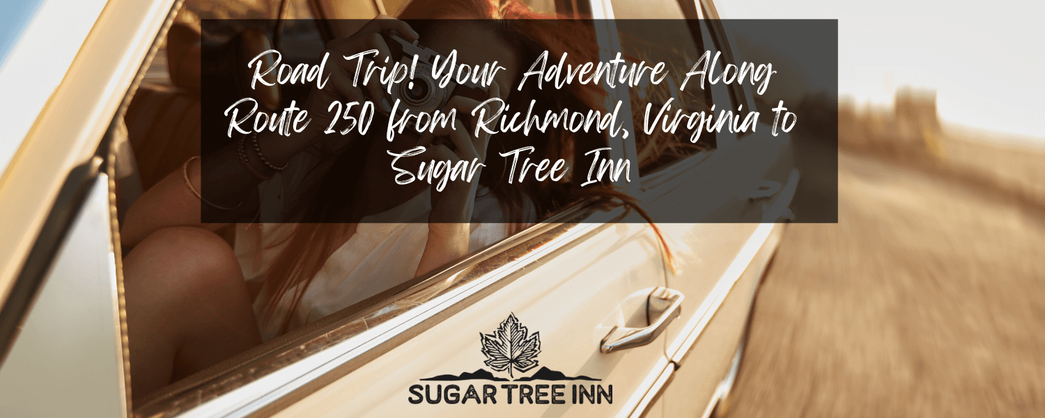 woman in car taking photos out of window on a road trip woman in car taking photos out of window on a road trip