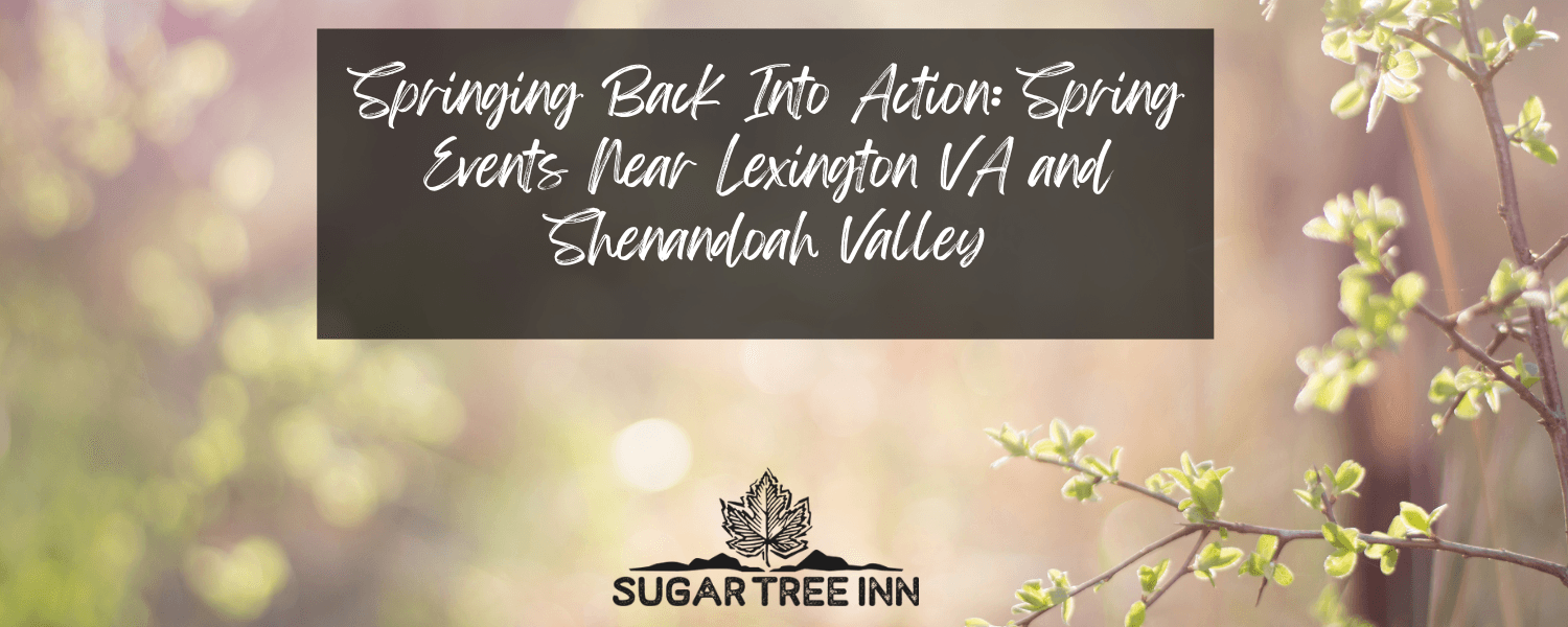 budding leaves on a branch springtime arrival in the Blue Ridge Mountains budding leaves on a branch springtime arrival in the Blue Ridge Mountains